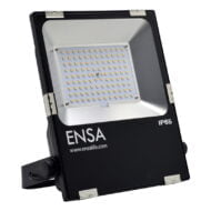 Professional 50W LED Flood Light (5000K)