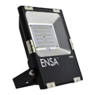 Professional 30W LED Flood Light (5000K)