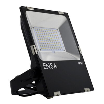 Professional 80W LED Flood Light (5000K)