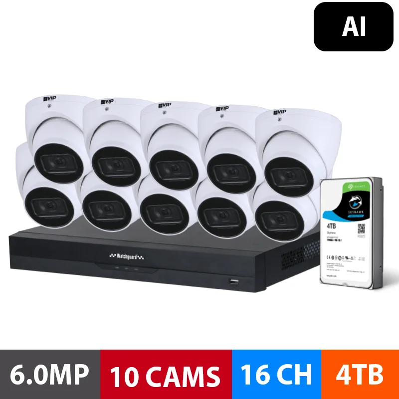 G-Series: 10 Camera 6.0MP AI Surveillance Kit (4TB)